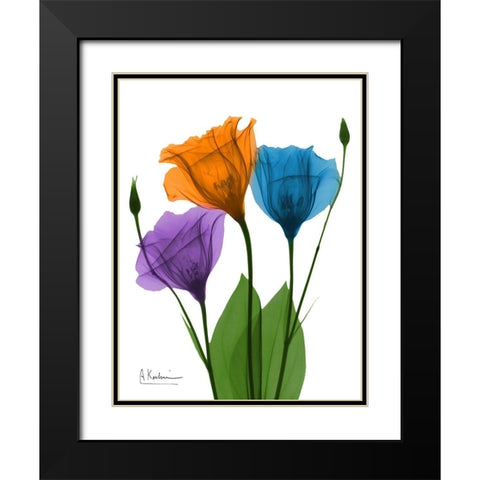 Jewel Gentian Buddies 1 Black Modern Wood Framed Art Print with Double Matting by Koetsier, Albert