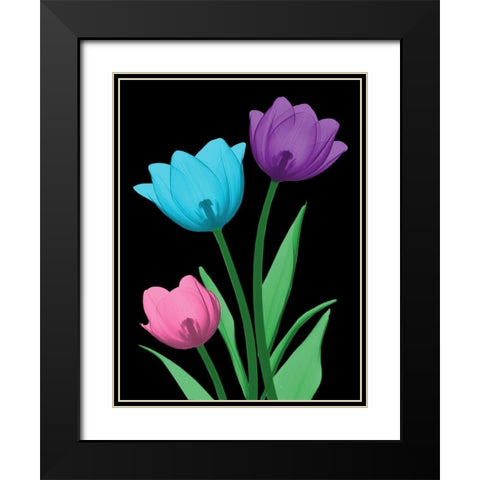 Shiny Tulips 3 Black Modern Wood Framed Art Print with Double Matting by Koetsier, Albert