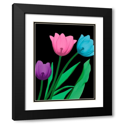 Shiny Tulips 4 Black Modern Wood Framed Art Print with Double Matting by Koetsier, Albert