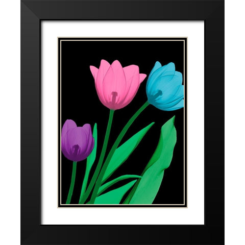 Shiny Tulips 4 Black Modern Wood Framed Art Print with Double Matting by Koetsier, Albert