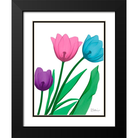 Shiny Tulips 2 Black Modern Wood Framed Art Print with Double Matting by Koetsier, Albert