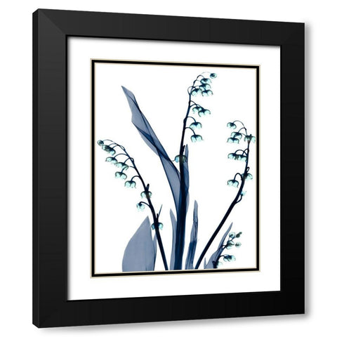 Midnight Oasis 1 Black Modern Wood Framed Art Print with Double Matting by Koetsier, Albert