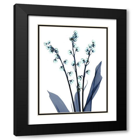 Midnight Oasis 2 Black Modern Wood Framed Art Print with Double Matting by Koetsier, Albert