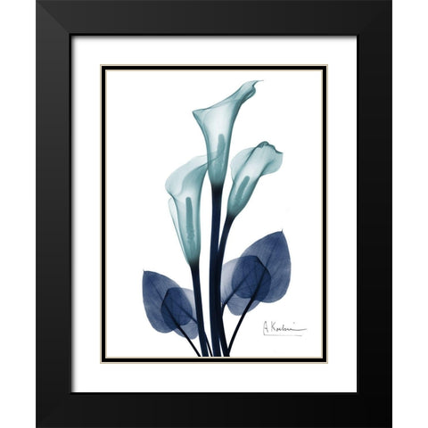 Midnight Calla Lily 1 Black Modern Wood Framed Art Print with Double Matting by Koetsier, Albert