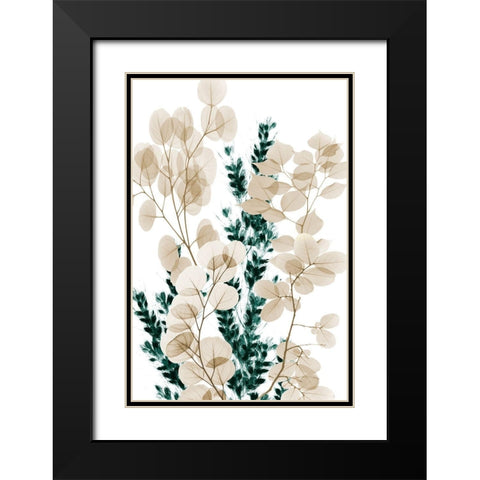 Bronze Bouquet 2 Black Modern Wood Framed Art Print with Double Matting by Koetsier, Albert