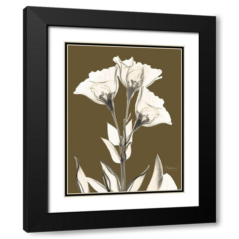 Gentian Fall Black Modern Wood Framed Art Print with Double Matting by Koetsier, Albert