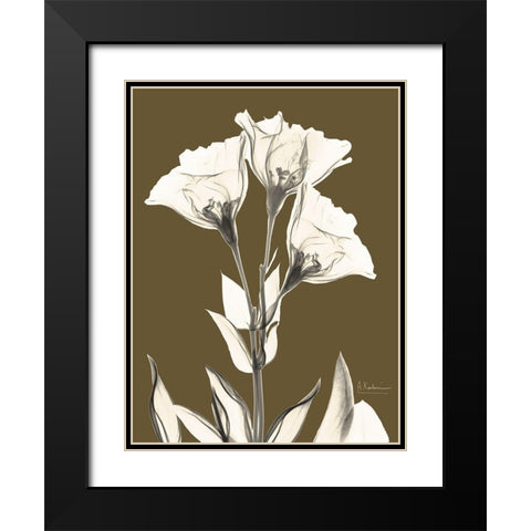 Gentian Fall Black Modern Wood Framed Art Print with Double Matting by Koetsier, Albert