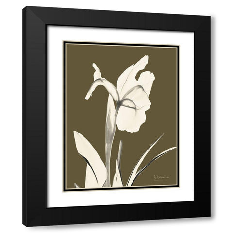 Iris Fall Black Modern Wood Framed Art Print with Double Matting by Koetsier, Albert