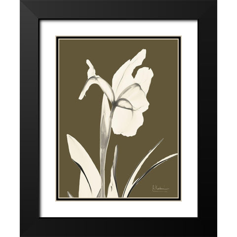 Iris Fall Black Modern Wood Framed Art Print with Double Matting by Koetsier, Albert