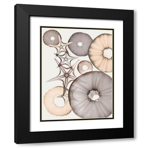 Earth Toned Pythagoras Black Modern Wood Framed Art Print with Double Matting by Koetsier, Albert