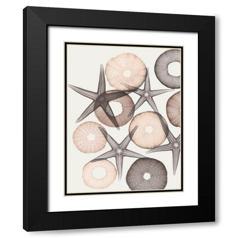 Earth Toned Pythagoras 2 Black Modern Wood Framed Art Print with Double Matting by Koetsier, Albert