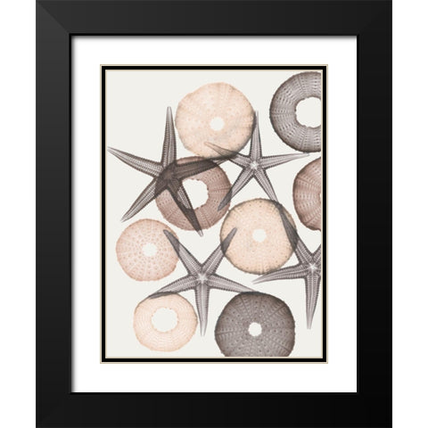 Earth Toned Pythagoras 2 Black Modern Wood Framed Art Print with Double Matting by Koetsier, Albert