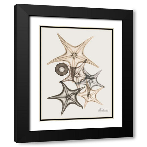 Sand Starfish 3 Black Modern Wood Framed Art Print with Double Matting by Koetsier, Albert