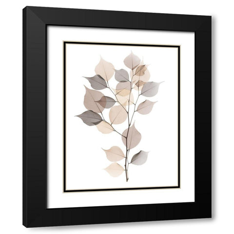 Sandy Myrtle Tree  Black Modern Wood Framed Art Print with Double Matting by Koetsier, Albert