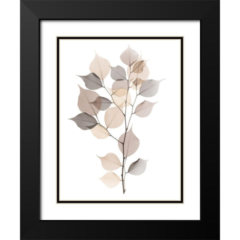 Sandy Myrtle Tree  Black Modern Wood Framed Art Print with Double Matting by Koetsier, Albert