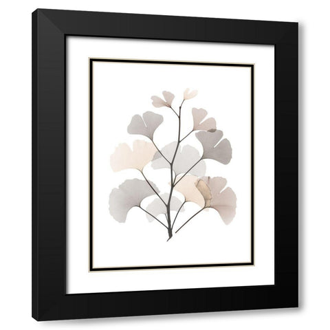 Desert Ginko Black Modern Wood Framed Art Print with Double Matting by Koetsier, Albert