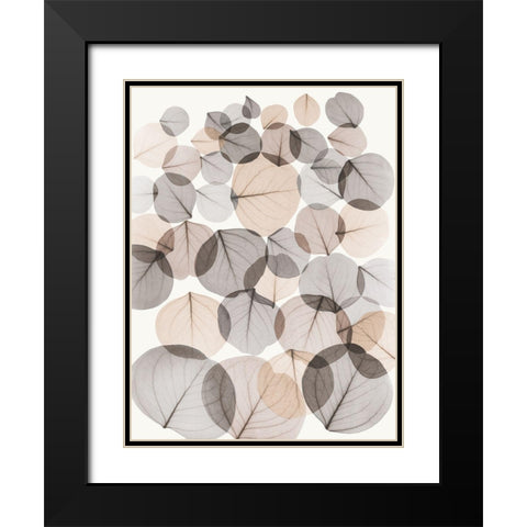 Sandy Baybean Leaves Black Modern Wood Framed Art Print with Double Matting by Koetsier, Albert