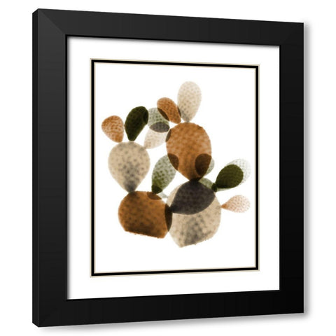 Urban Cactus Bunch 1 Black Modern Wood Framed Art Print with Double Matting by Koetsier, Albert