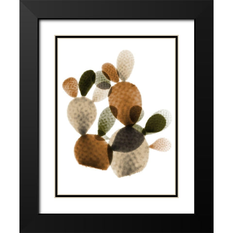 Urban Cactus Bunch 1 Black Modern Wood Framed Art Print with Double Matting by Koetsier, Albert