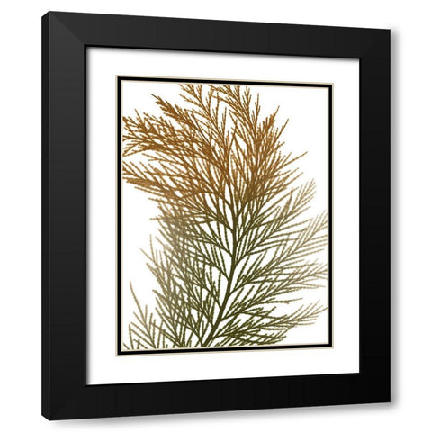 Urban Incense Cedar Black Modern Wood Framed Art Print with Double Matting by Koetsier, Albert