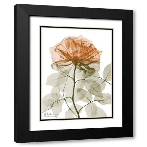 Urban Jungle Rose 1 Black Modern Wood Framed Art Print with Double Matting by Koetsier, Albert