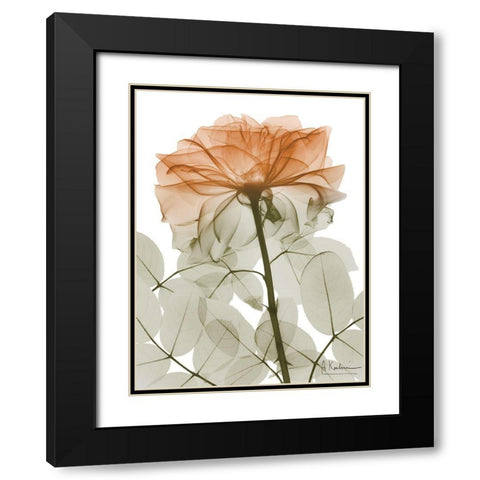 Urban Jungle Rose 2 Black Modern Wood Framed Art Print with Double Matting by Koetsier, Albert