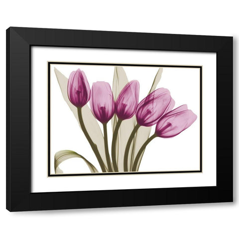 Vibrant Marching Tulips Black Modern Wood Framed Art Print with Double Matting by Koetsier, Albert