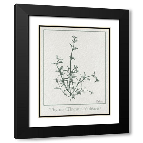 Thymus Vulgaris 2 Black Modern Wood Framed Art Print with Double Matting by Koetsier, Albert