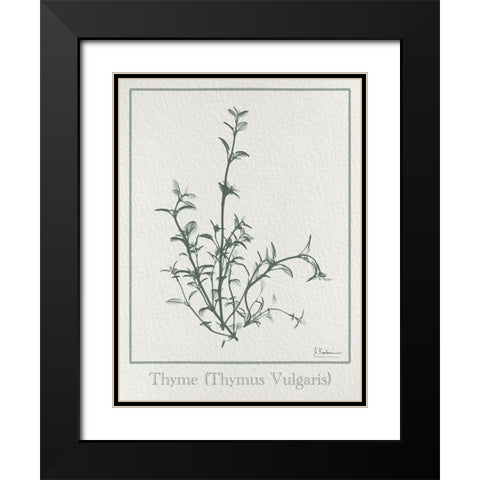 Thymus Vulgaris 2 Black Modern Wood Framed Art Print with Double Matting by Koetsier, Albert