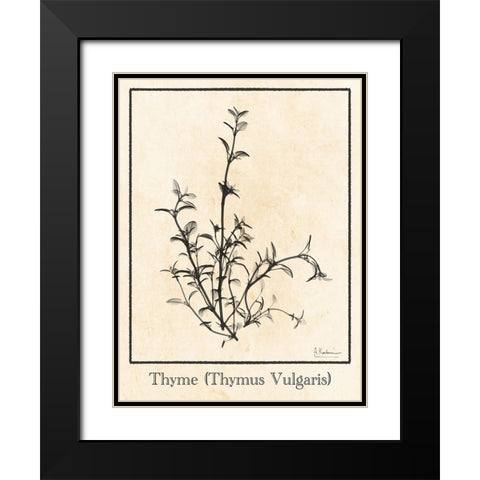 Thymus Vulgaris Black Modern Wood Framed Art Print with Double Matting by Koetsier, Albert