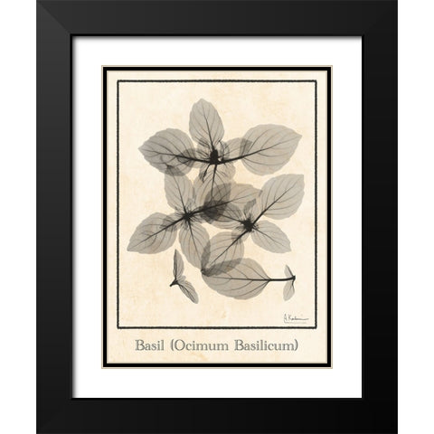 Basil Ocimum Basilicum Black Modern Wood Framed Art Print with Double Matting by Koetsier, Albert