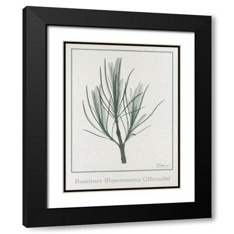 Rosemary 2 Black Modern Wood Framed Art Print with Double Matting by Koetsier, Albert