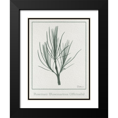 Rosemary 2 Black Modern Wood Framed Art Print with Double Matting by Koetsier, Albert