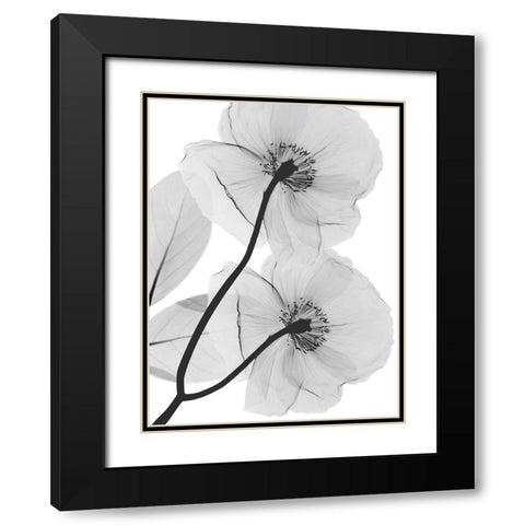 Kinetic Translation Black Modern Wood Framed Art Print with Double Matting by Koetsier, Albert