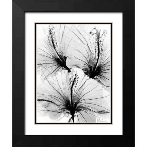 Floral Abstract 1 Black Modern Wood Framed Art Print with Double Matting by Koetsier, Albert