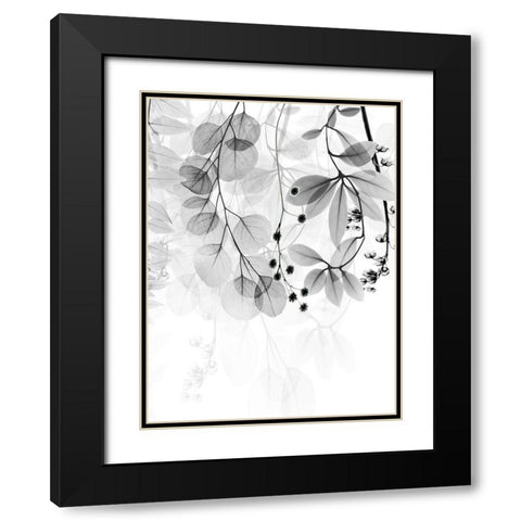 Complex Matter 1 Black Modern Wood Framed Art Print with Double Matting by Koetsier, Albert