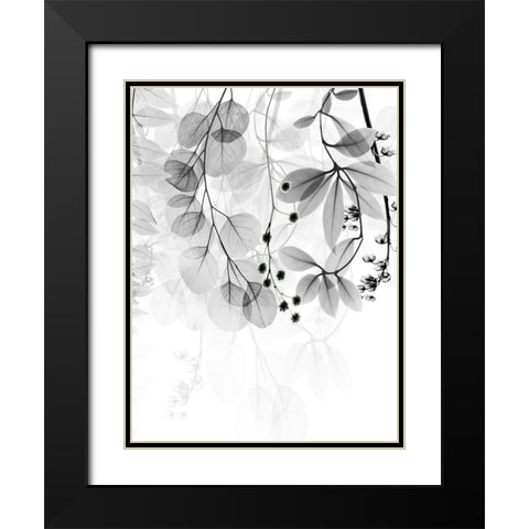 Complex Matter 1 Black Modern Wood Framed Art Print with Double Matting by Koetsier, Albert