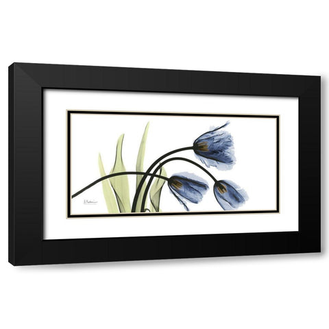 Tulip Blues Black Modern Wood Framed Art Print with Double Matting by Koetsier, Albert