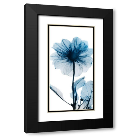 Sapphire Glam 2 Black Modern Wood Framed Art Print with Double Matting by Koetsier, Albert