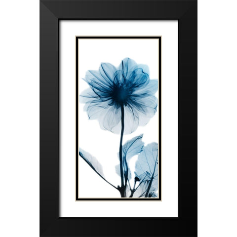 Sapphire Glam 2 Black Modern Wood Framed Art Print with Double Matting by Koetsier, Albert