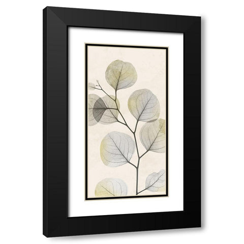 Sunkissed Growth 1 Black Modern Wood Framed Art Print with Double Matting by Koetsier, Albert