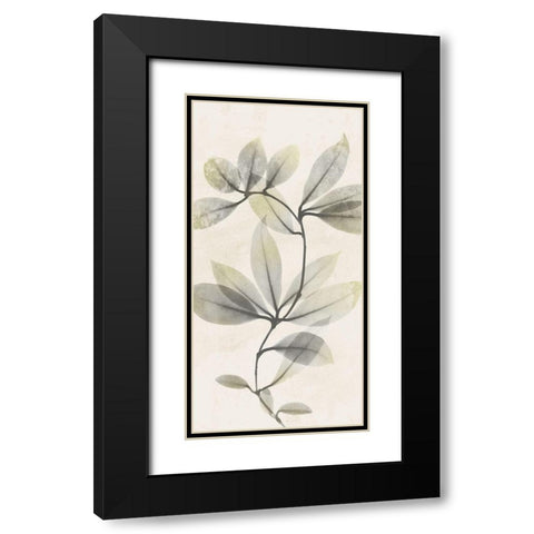 Sunkissed Growth 2 Black Modern Wood Framed Art Print with Double Matting by Koetsier, Albert