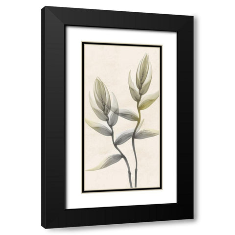 Sunkissed Growth 4 Black Modern Wood Framed Art Print with Double Matting by Koetsier, Albert