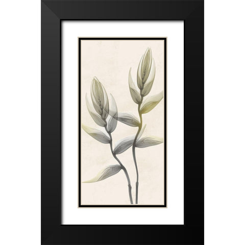 Sunkissed Growth 4 Black Modern Wood Framed Art Print with Double Matting by Koetsier, Albert