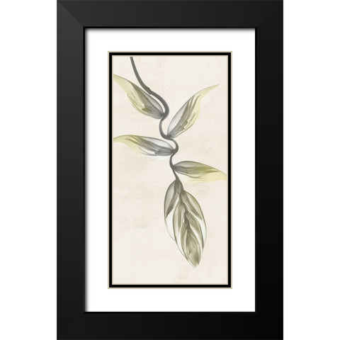 Sunkissed Growth 5 Black Modern Wood Framed Art Print with Double Matting by Koetsier, Albert