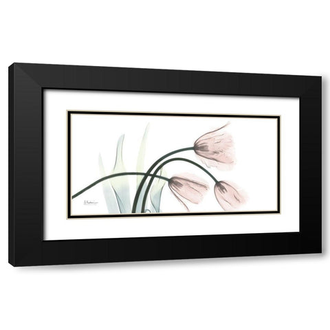 Freshly Bloomed 1 Black Modern Wood Framed Art Print with Double Matting by Koetsier, Albert