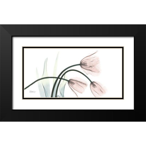 Freshly Bloomed 1 Black Modern Wood Framed Art Print with Double Matting by Koetsier, Albert