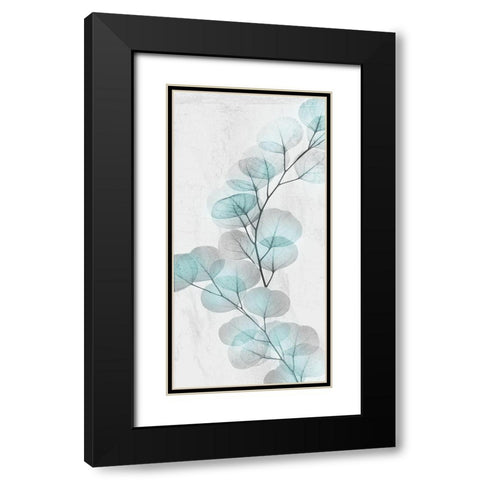 Eucalyptus Glow 2 Black Modern Wood Framed Art Print with Double Matting by Koetsier, Albert