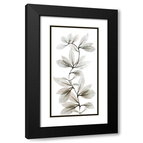 Sandy Wonder 2 Black Modern Wood Framed Art Print with Double Matting by Koetsier, Albert