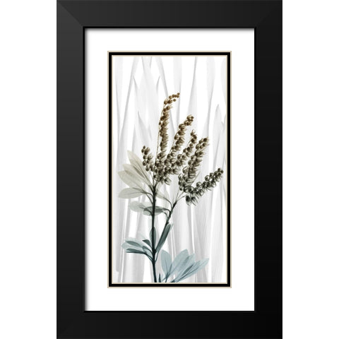 Suave Snowdrops 2 Black Modern Wood Framed Art Print with Double Matting by Koetsier, Albert